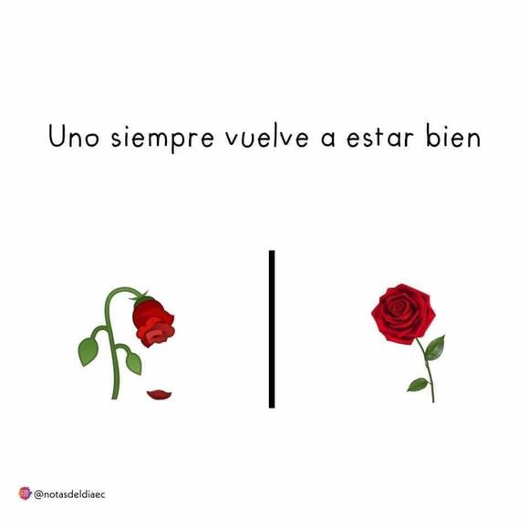 elizabeth_dias